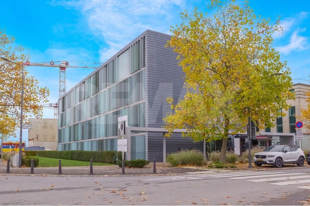 Bureau - A louer - Luxembourg - 1-web-or-mls-P1523572.jpg - 280221043-258