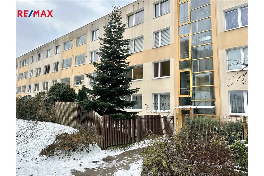 Wohnung - Wohnung - Praha 3, hl. m. Praha - Czech Republic - 22 - 29234019-802