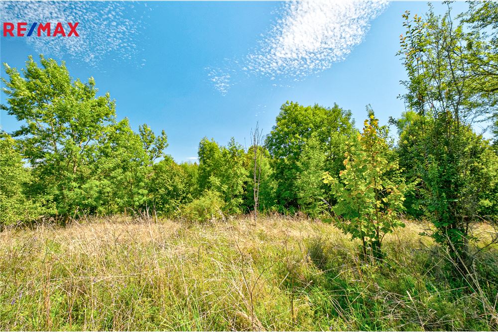 商业 - 土地 - Přídolí, Jihočeský kraj - Czech Republic - 15 - 29288154-25