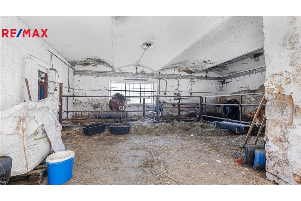 Commercial - Farm - Vitice, Stredocesky region - Czech Republic - 6 - 29288067-80