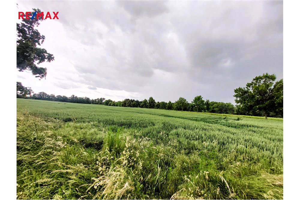 商业 - 土地 - Praha 10, hl. m. Praha - Czech Republic - 8 - 29288119-68