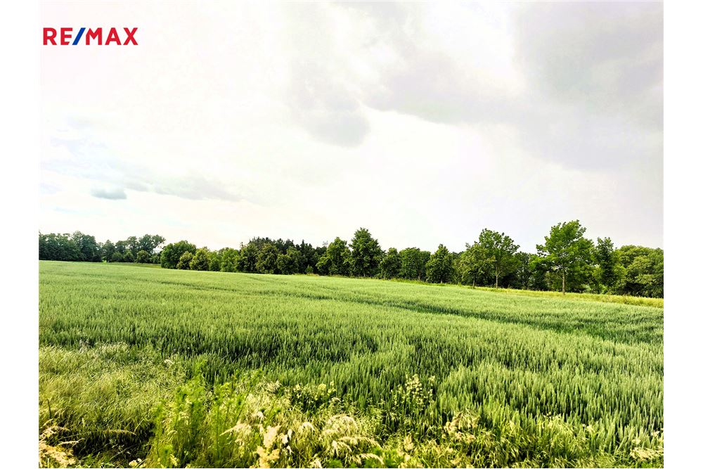 商业 - 土地 - Praha 10, hl. m. Praha - Czech Republic - 9 - 29288119-66