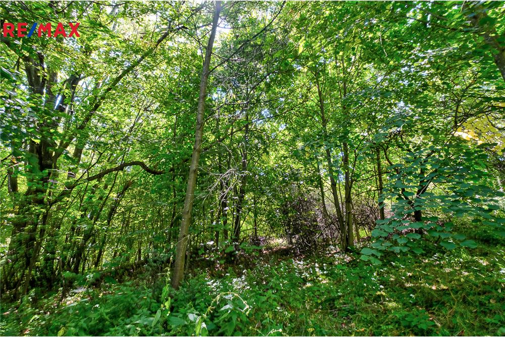 商业 - 土地 - Přídolí, Jihočeský kraj - Czech Republic - 12 - 29288154-25