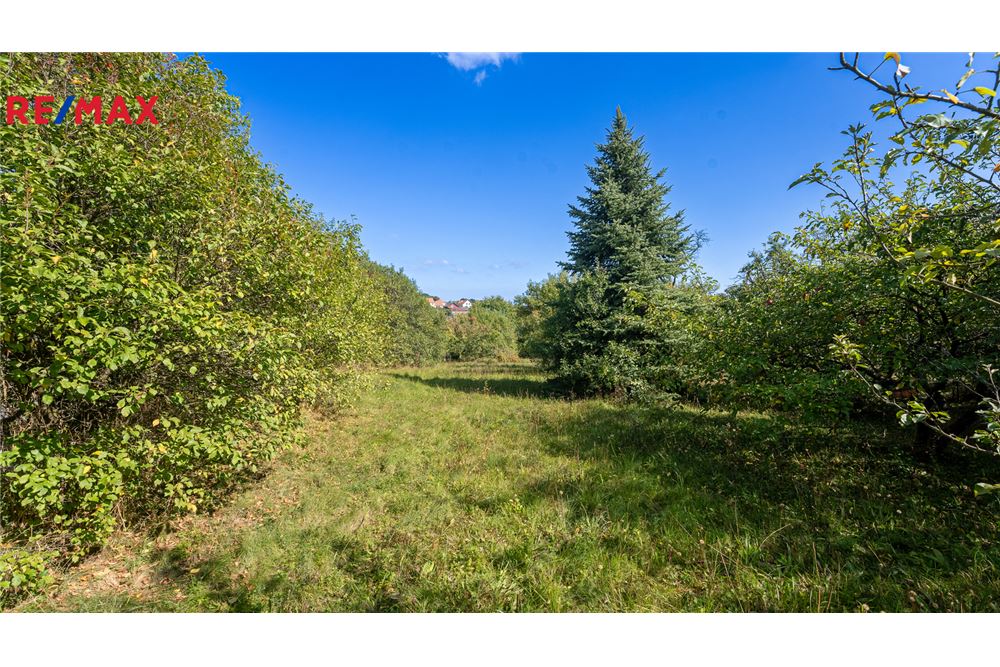 Residential - Hus - Voděrady, Jihomoravský kraj - Czech Republic - 23 - 29284045-34