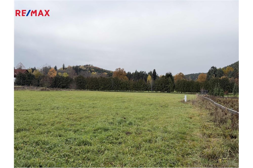 Comercial - Terreno - Rejštejn, Plzeňský kraj - Czech Republic - 2 - 29234043-5