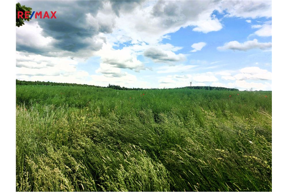 商业 - 土地 - Praha 10, hl. m. Praha - Czech Republic - 7 - 29288119-68