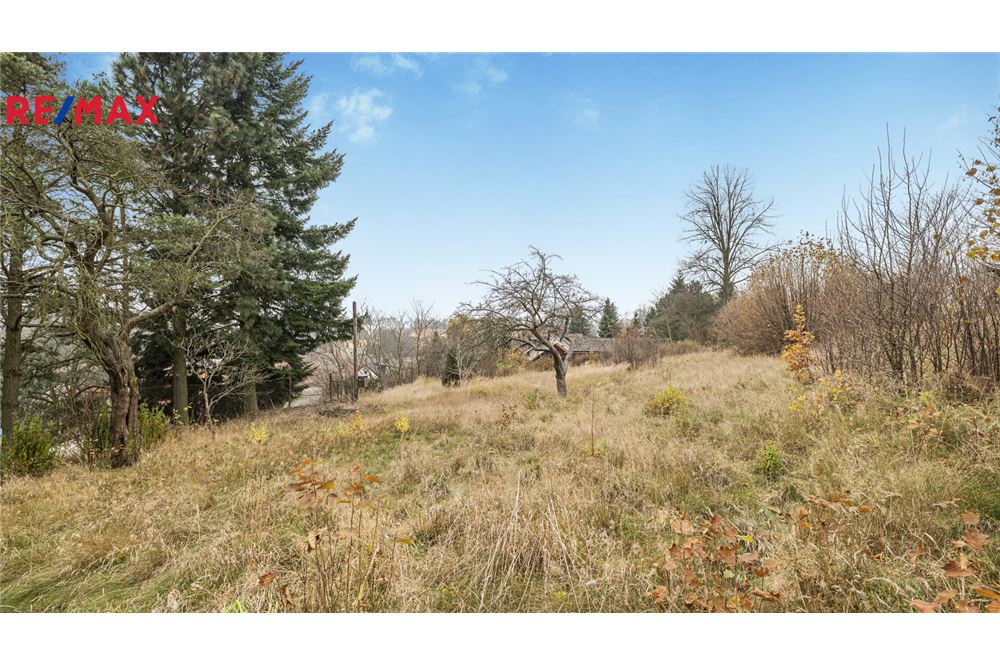 Commercial - Land - Luka nad Jihlavou, Vysocina region - Czech Republic - 7 - 29288134-119