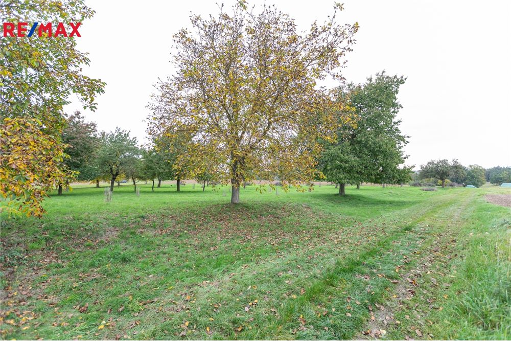 Commercial - Land - Panoší Újezd, Stredocesky region - Czech Republic - 4 - 29234030-318