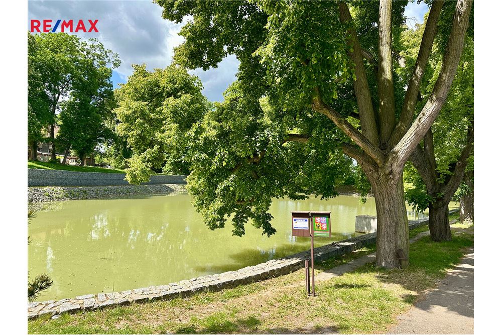 Residenziale - Appartamento - Svémyslice, Středočeský kraj - Czech Republic - 18 - 29234019-803