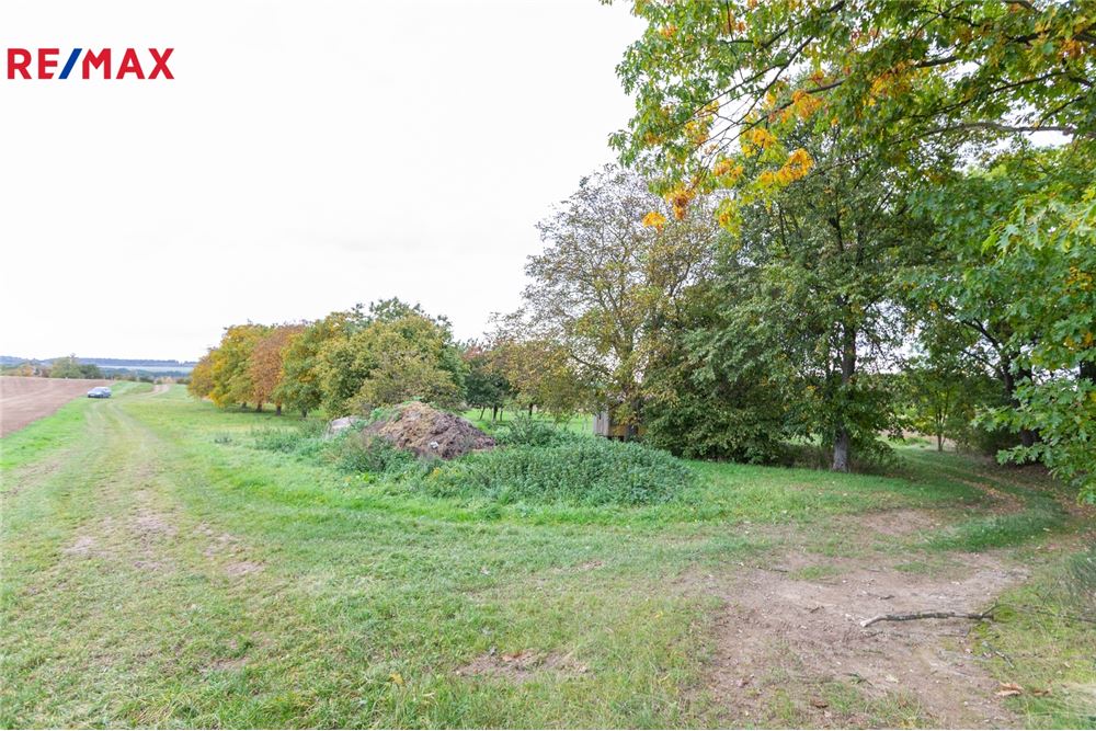 Commercial - Land - Panoší Újezd, Stredocesky region - Czech Republic - 6 - 29234030-318