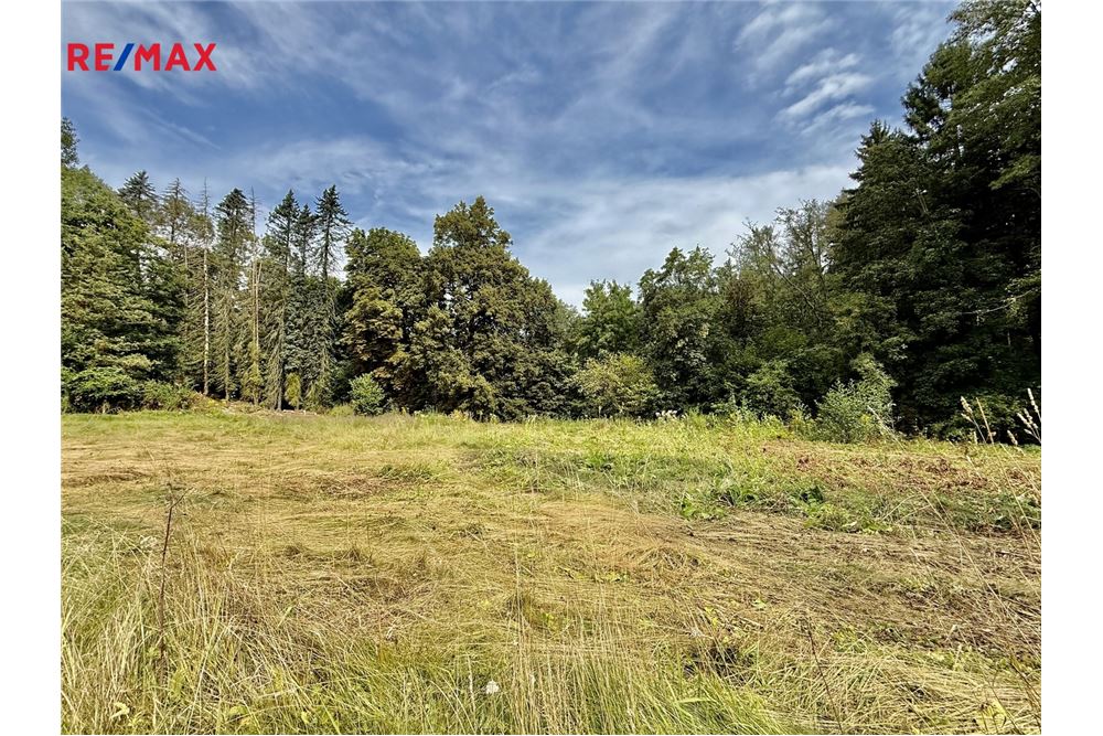 Commercial - Land - Mnichovice, Stredocesky region - Czech Republic - 9 - 29288132-53