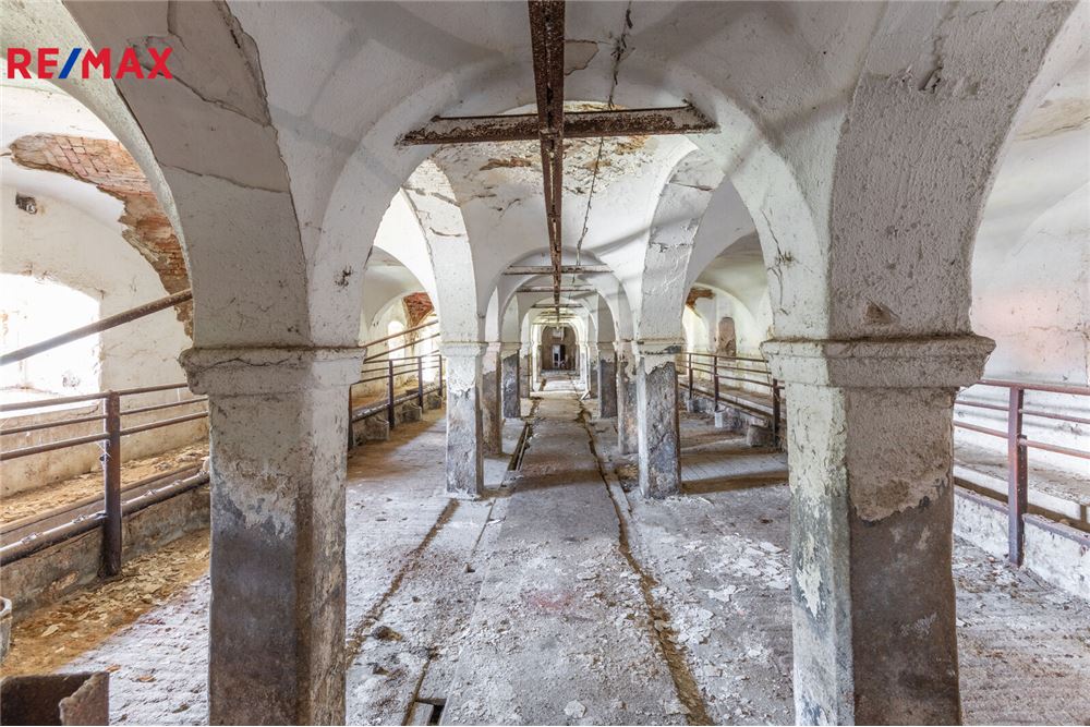 Surface commerciale - Autre - Soutice, Středočeský kraj - Czech Republic - 17 - 29234030-305