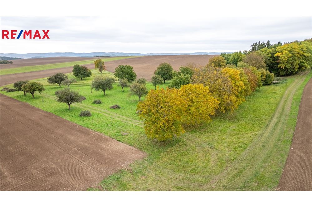 Commercial - Land - Panoší Újezd, Stredocesky region - Czech Republic - 1 - 29234030-318