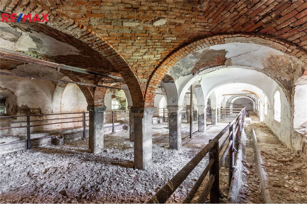 Surface commerciale - Autre - Soutice, Středočeský kraj - Czech Republic - 15 - 29234030-305