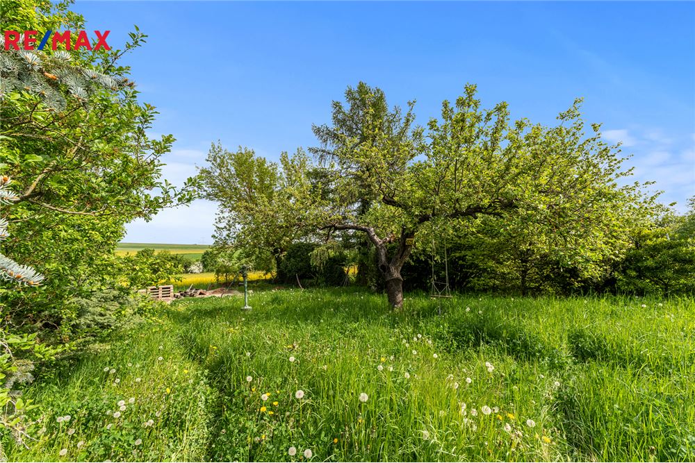 Commercieel - Grond - Mořina, Středočeský kraj - Czech Republic - 11 - 29234029-325