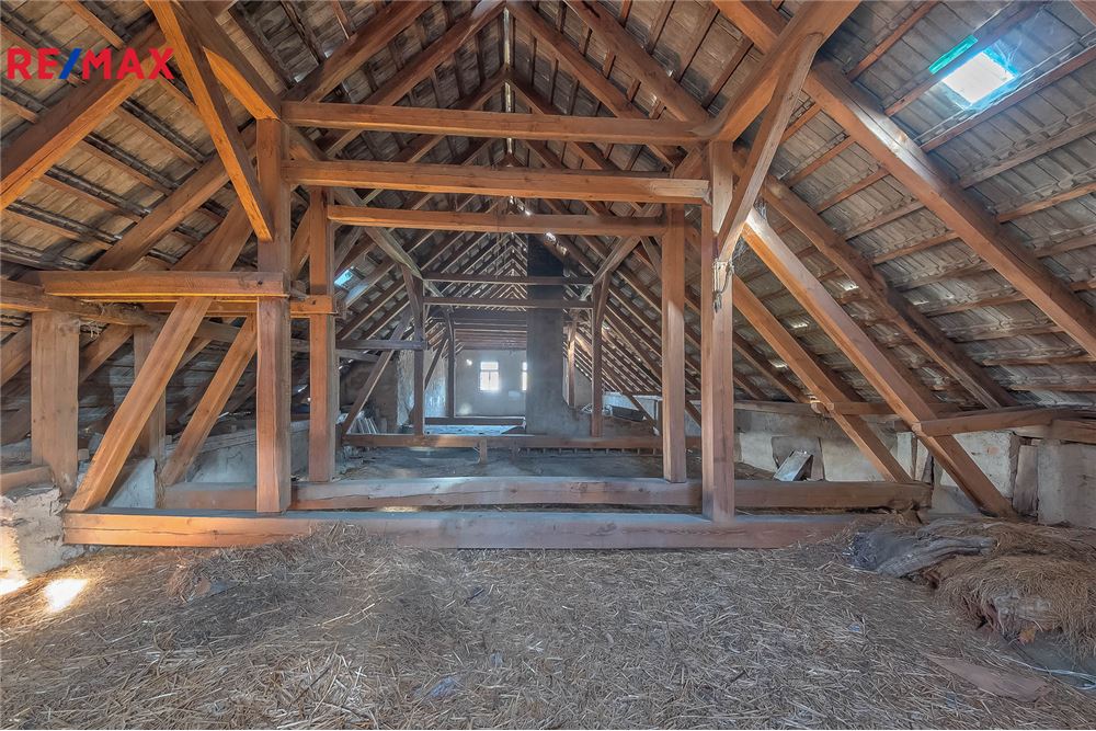 Commercial - Farm - Blažejov, Jihocesky region - Czech Republic - 19 - 29288067-83