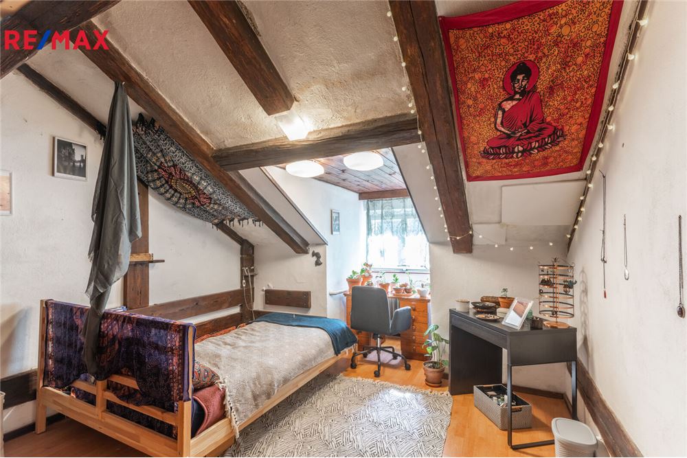 住宅 - 房子 - Praha 1, hl. m. Praha - Czech Republic - 12 - 29234019-811