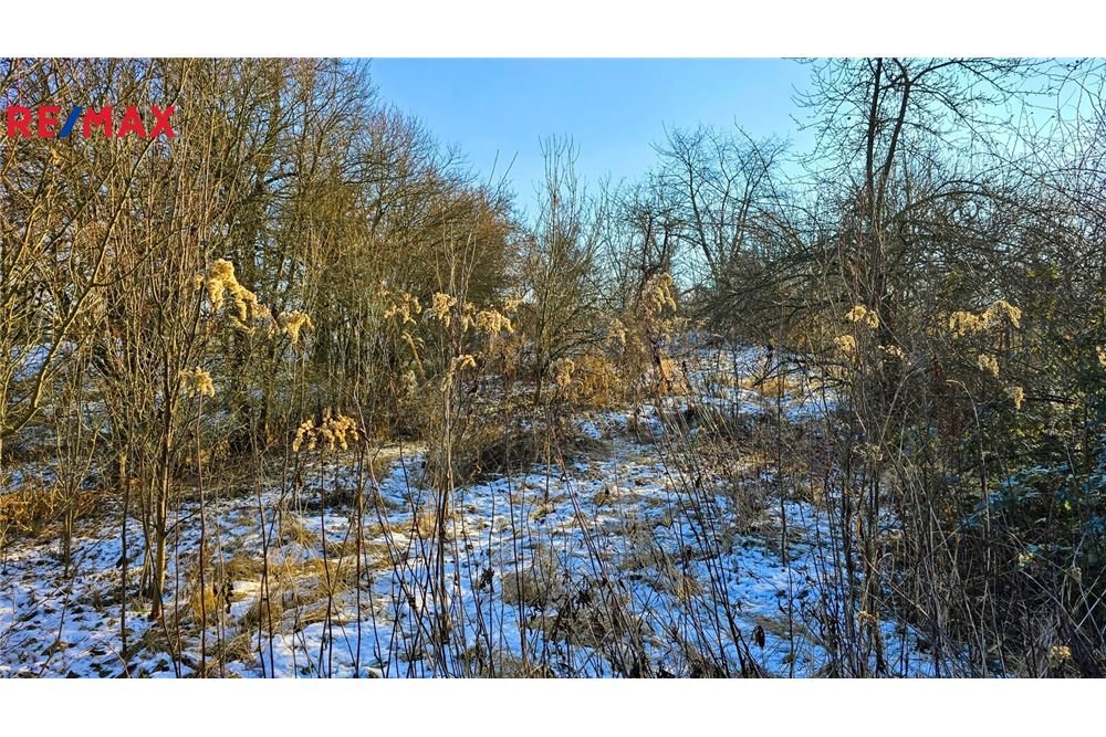 Residential - House - Nesovice, South Moravia region - Czech Republic - 25 - 29288199-248