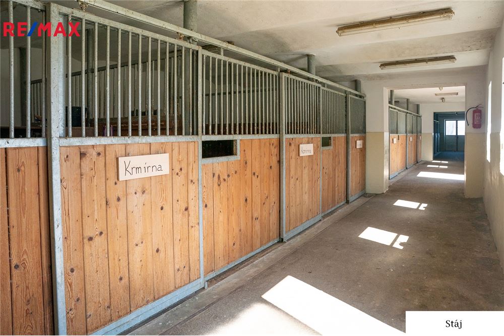 Residential - House - Zvěrkovice, Vysocina region - Czech Republic - 46 - 29229009-86