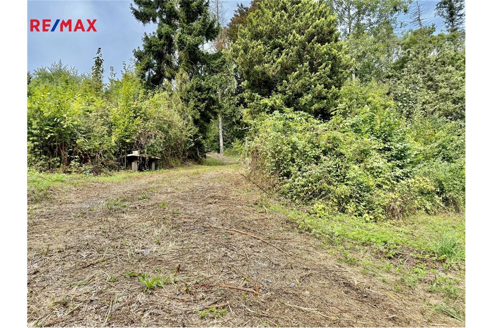 Commercial - Land - Mnichovice, Stredocesky region - Czech Republic - 8 - 29288132-53