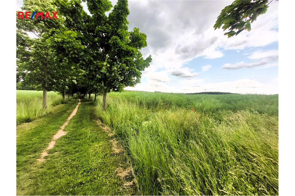 商业 - 土地 - Praha 10, hl. m. Praha - Czech Republic - 1 - 29288119-66