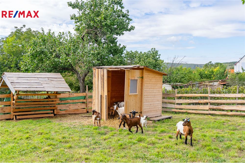 Residential - House - Kobylí, South Moravia region - Czech Republic - 45 - 29288134-108