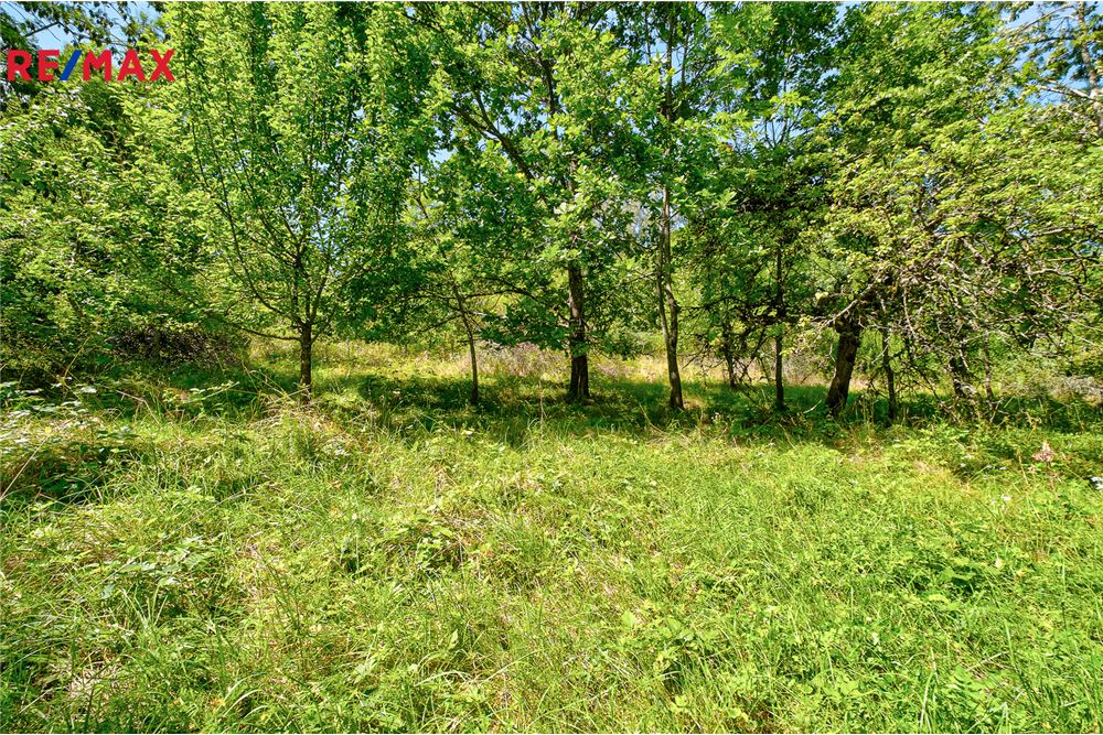 商业 - 土地 - Přídolí, Jihočeský kraj - Czech Republic - 8 - 29288154-25