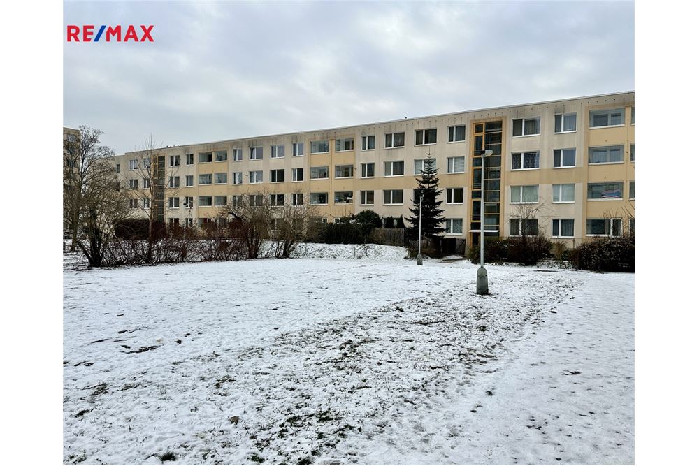 Wohnung - Wohnung - Praha 3, hl. m. Praha - Czech Republic - 24 - 29234019-802