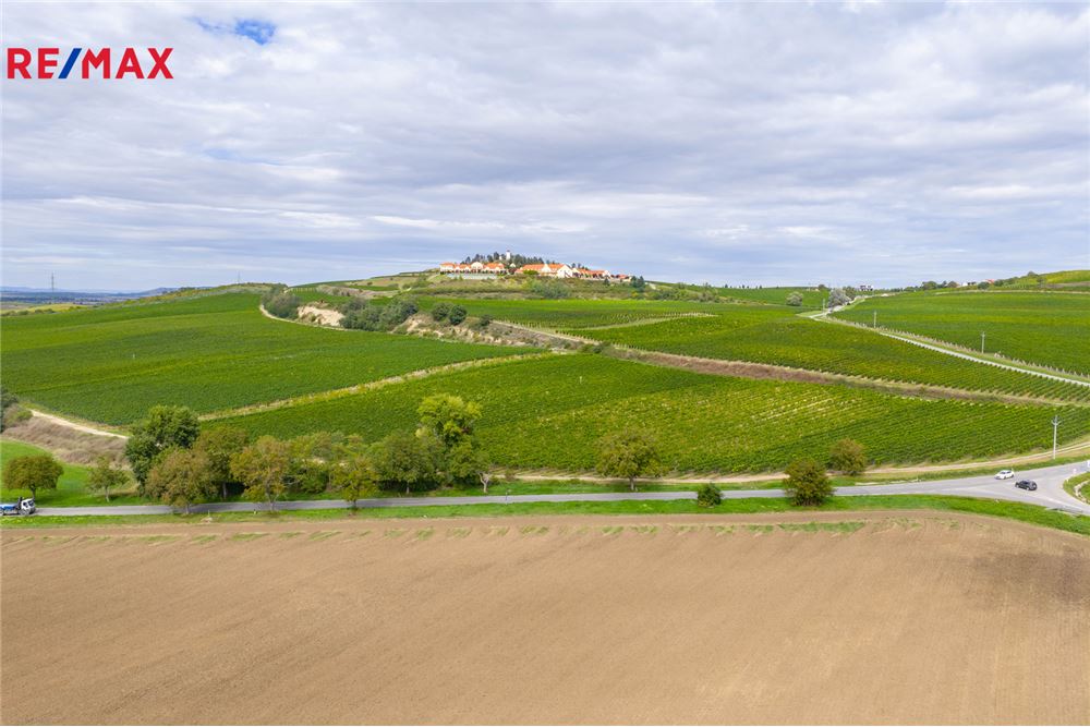 Commercio - Terreno - Přítluky, Jihomoravský kraj - Czech Republic - 12 - 29288134-98