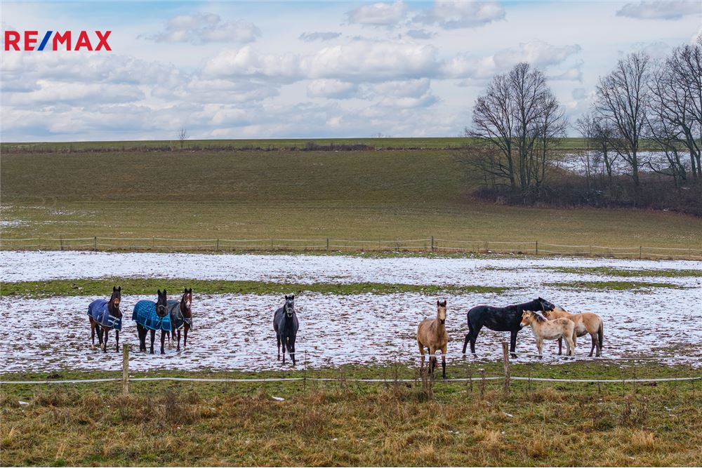 Commercio - Terreno - Líšnice, Pardubický kraj - Czech Republic - 9 - 29288134-113