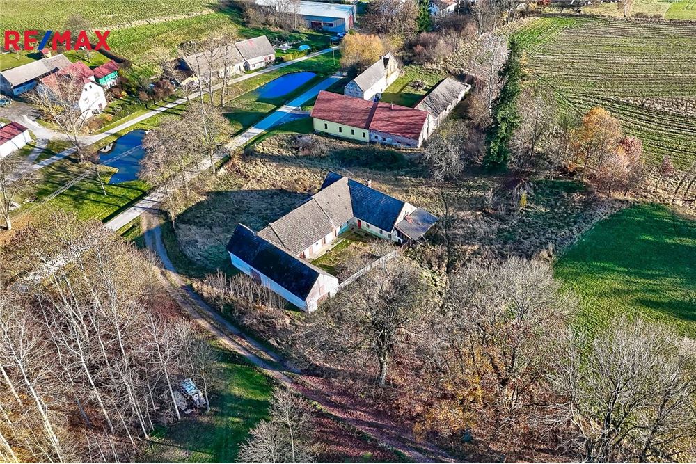 Commercial - Farm - Blažejov, Jihocesky region - Czech Republic - 3 - 29288067-83