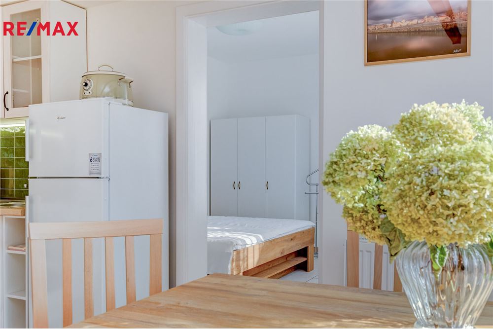 Residential - Condo/Apartment - Květnice, Stredocesky region - Czech Republic - 10 - 29288106-134