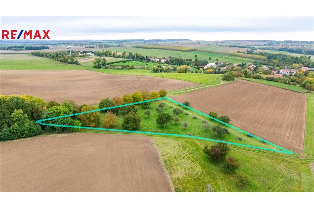 Commercial - Land - Panoší Újezd, Stredocesky region - Czech Republic - 10 - 29234030-318