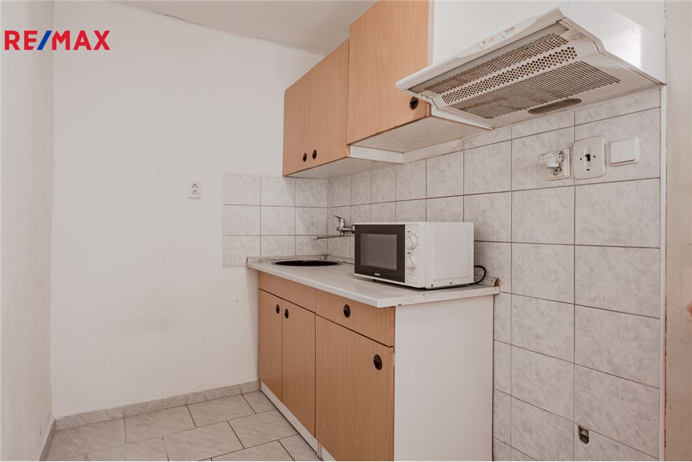 Residential - Condo/Apartment - Jemnice, Vysocina region - Czech Republic - 8 - 29229012-100