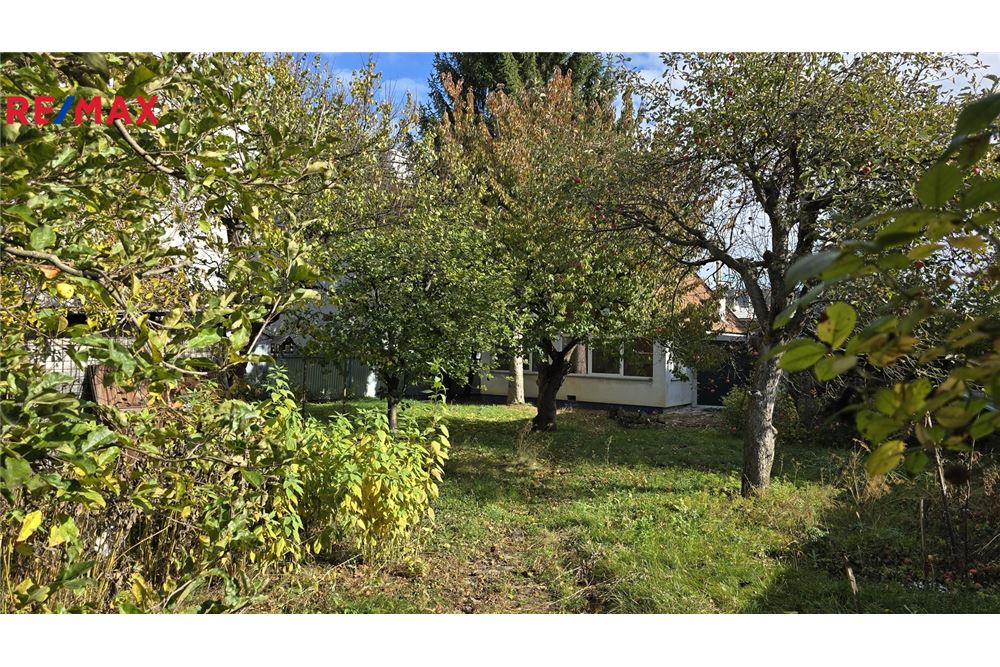 Surface commerciale - Centre commercial - Brno, Jihomoravský kraj - Czech Republic - 17 - 29288199-222