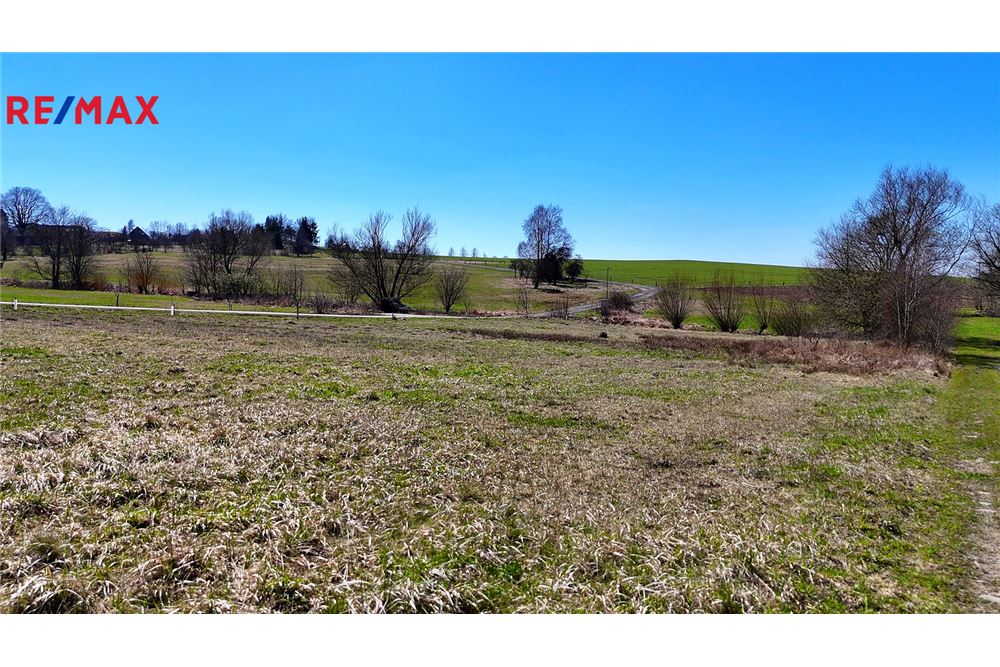 Commercial - Land - Benešov, South Moravia region - Czech Republic - 5 - 29288199-205