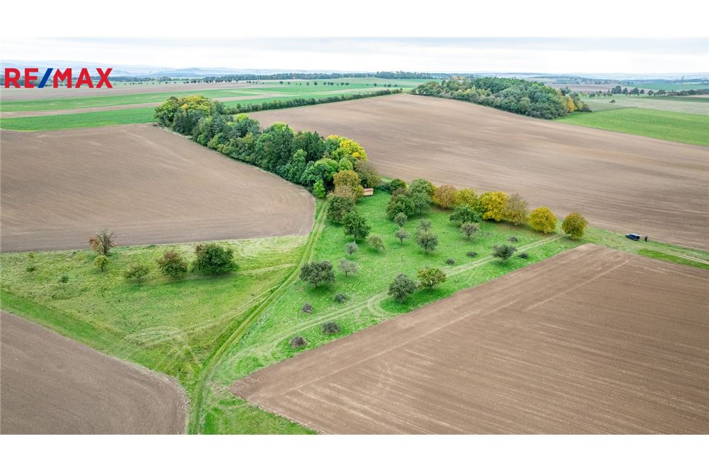 Commercial - Land - Panoší Újezd, Stredocesky region - Czech Republic - 8 - 29234030-318