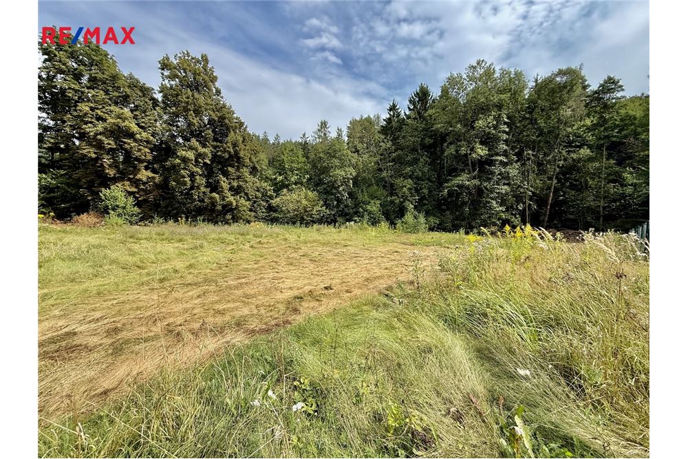 Commercial - Land - Mnichovice, Stredocesky region - Czech Republic - 10 - 29288132-53