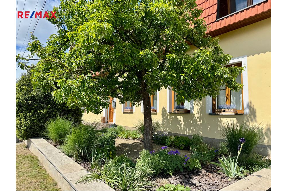 Residential - House - Zvěrkovice, Vysocina region - Czech Republic - 10 - 29229009-86