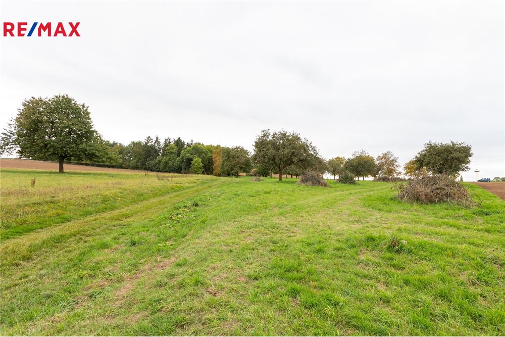 Commercial - Land - Panoší Újezd, Stredocesky region - Czech Republic - 7 - 29234030-318