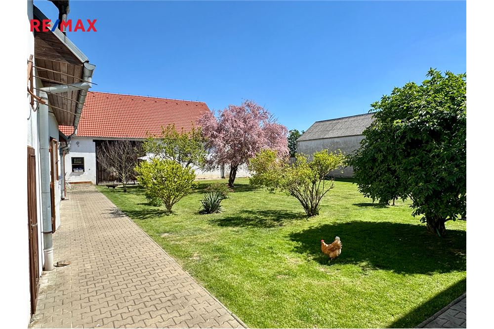 Residential - House - Zvěrkovice, Vysocina region - Czech Republic - 4 - 29229009-86