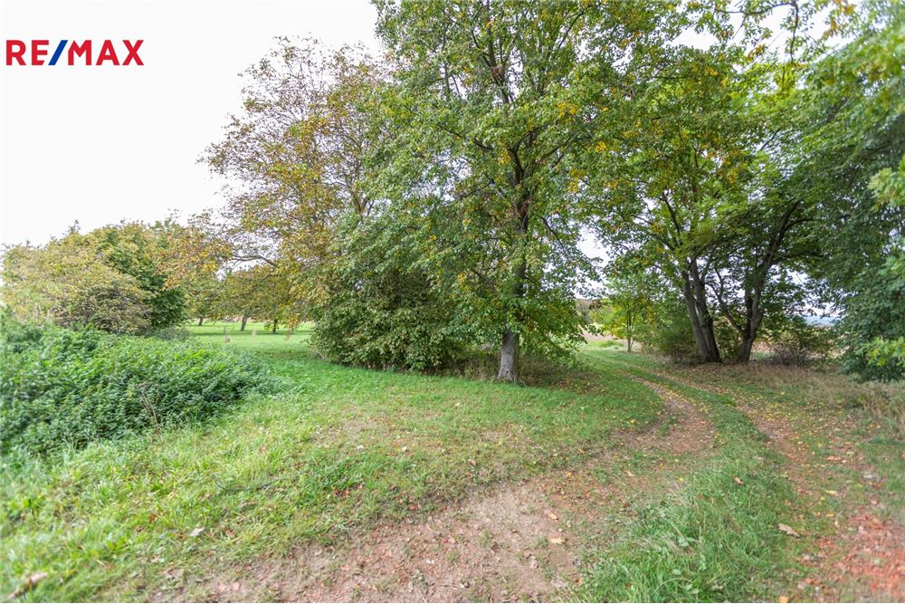 Commercial - Land - Panoší Újezd, Stredocesky region - Czech Republic - 5 - 29234030-318