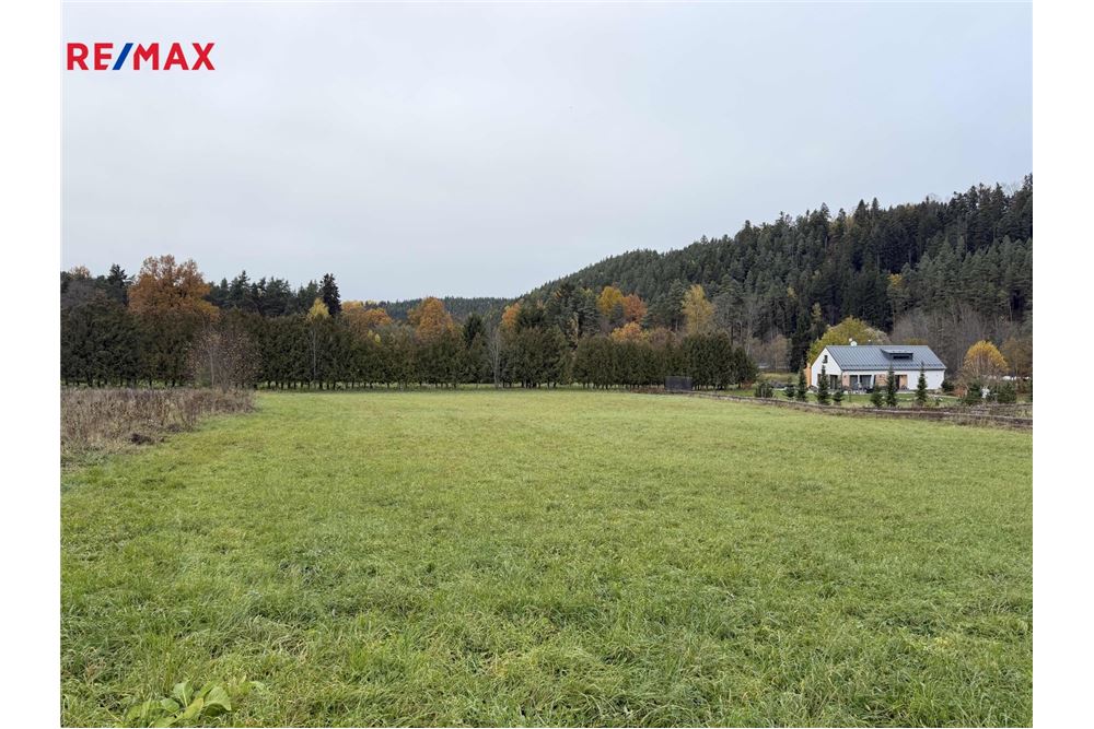 Comercial - Terreno - Rejštejn, Plzeňský kraj - Czech Republic - 7 - 29234043-5