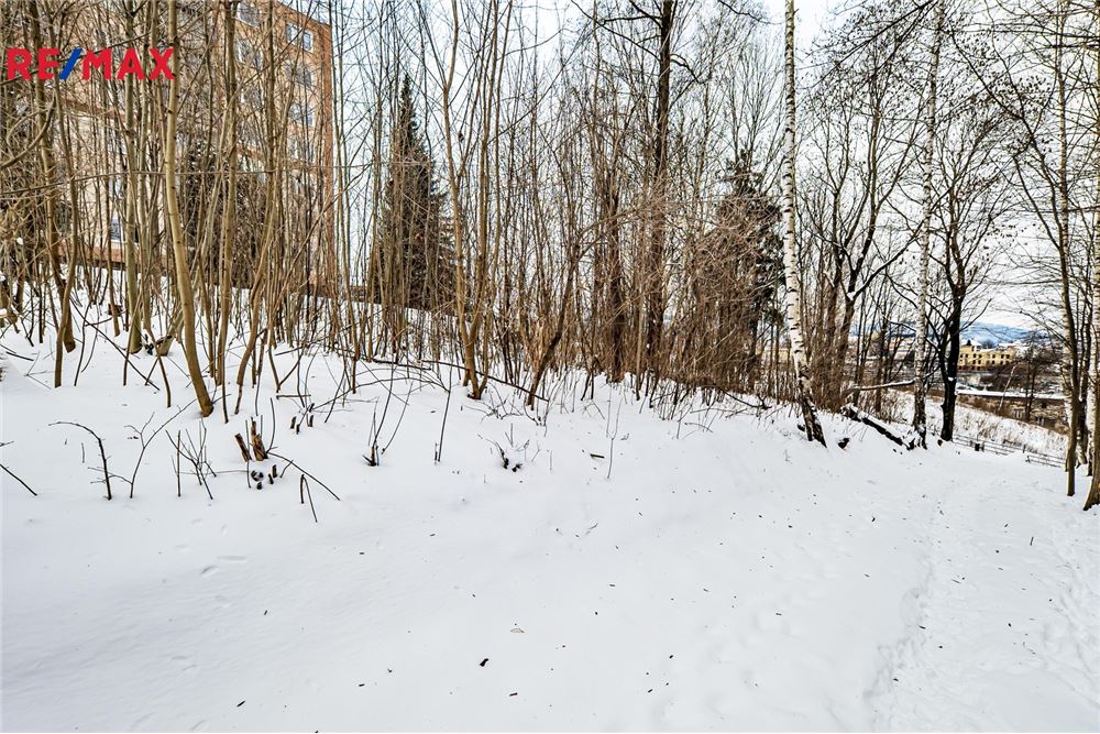 Commercial - Land - Liberec, Liberec region - Czech Republic - 7 - 29288163-35