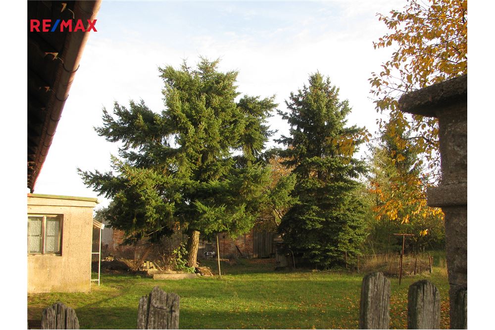 Commercial - Maa - Voleč, Pardubický kraj - Czech Republic - 6 - 29310012-36