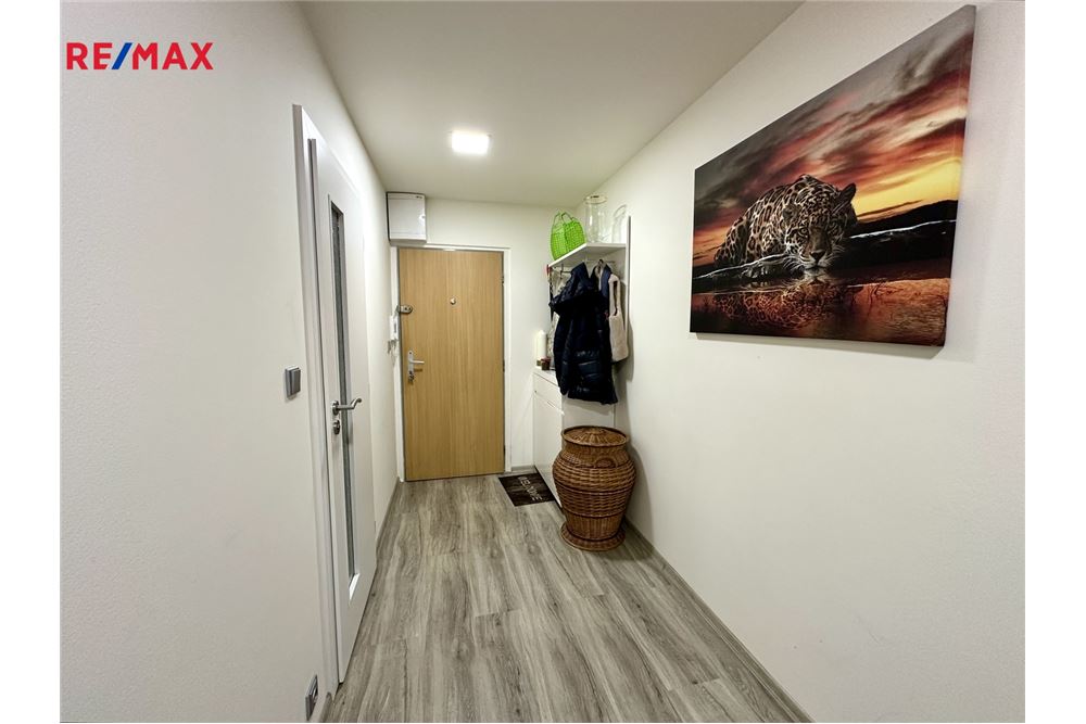 Wohnung - Wohnung - Praha 3, hl. m. Praha - Czech Republic - 14 - 29234019-802