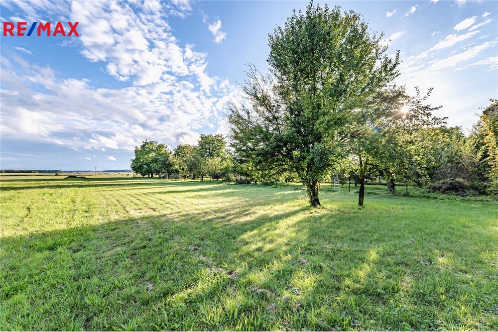 Commercial - Land - Ostroměř, Hradec Králové region - Czech Republic - 13 - 29288165-4