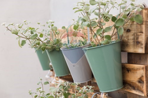 Slider Image Thumbnail