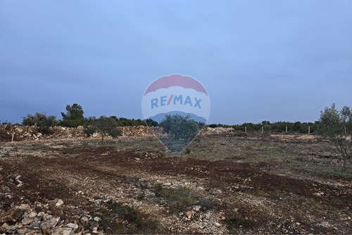 Za prodaju-Građevinsko zemljište-Donje Raštane  -  Sveti Filip I Jakov, Hrvatska-300501033-33