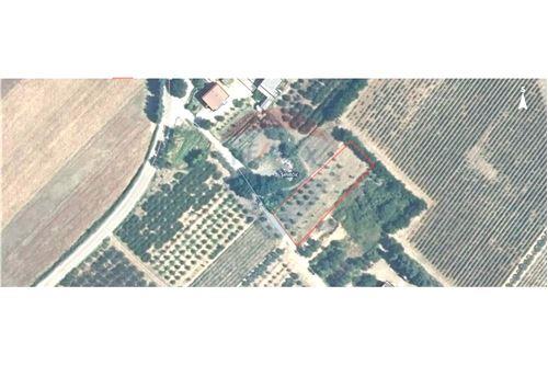 For Sale-Land-Smilčić  -  Benkovac, Croatia-300501016-106